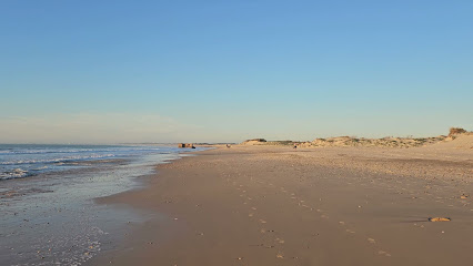 Foto de Playas en Friendog