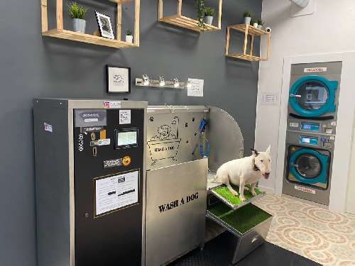 Foto de Autolavados de perros en Friendog