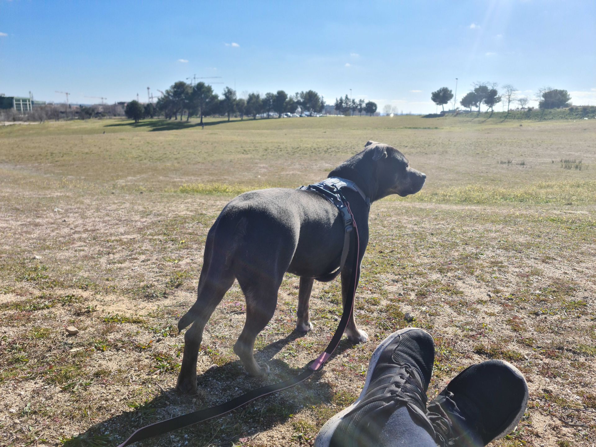 Foto de Parques en Friendog