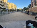 Foto de Pipican en Friendog