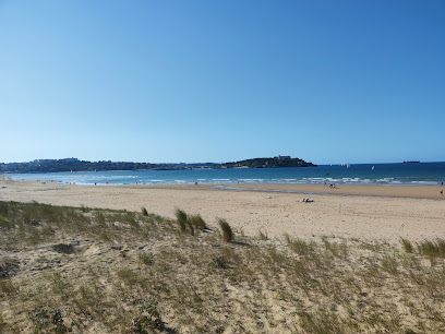 Foto de Playas en Friendog