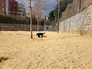Foto de Pipican en Friendog