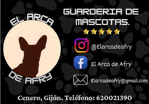 Foto de Guardería canina en Friendog