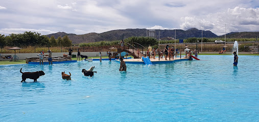 Foto de Piscina en Friendog