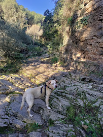 Foto de Rutas en Friendog