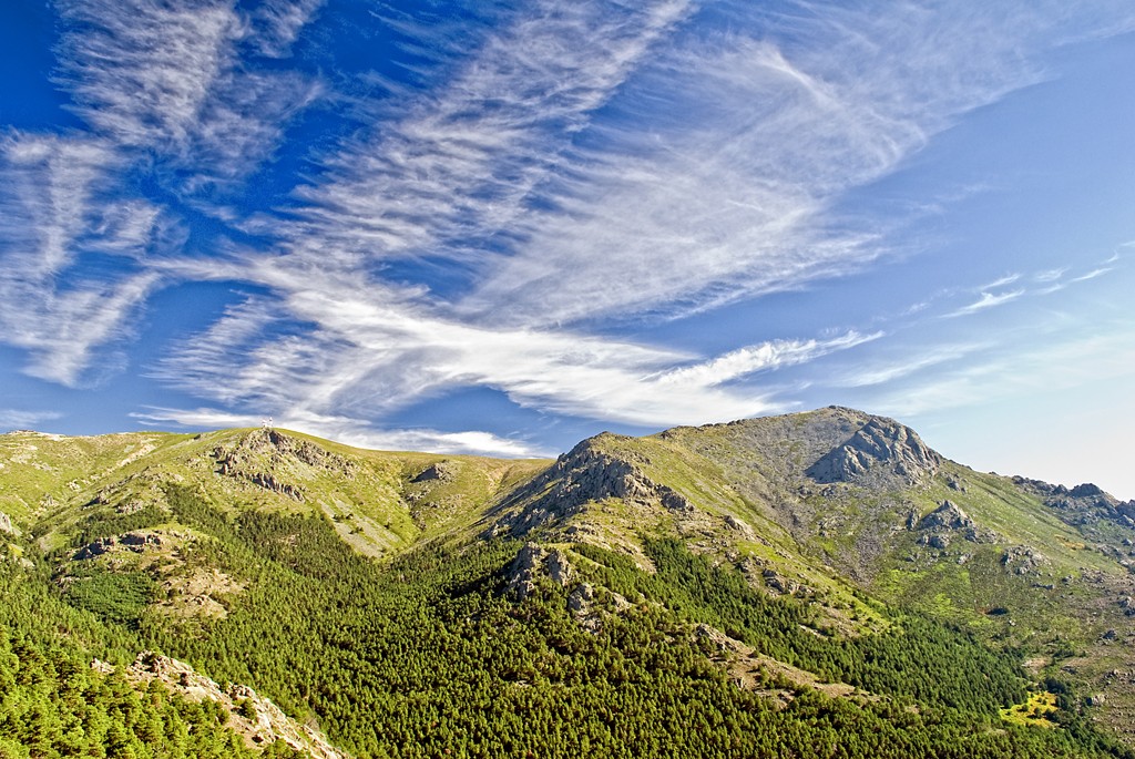 Foto de Rutas en Friendog