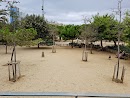 Foto de Pipican en Friendog