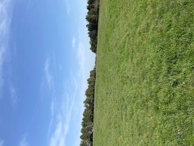 Foto de Parques en Friendog