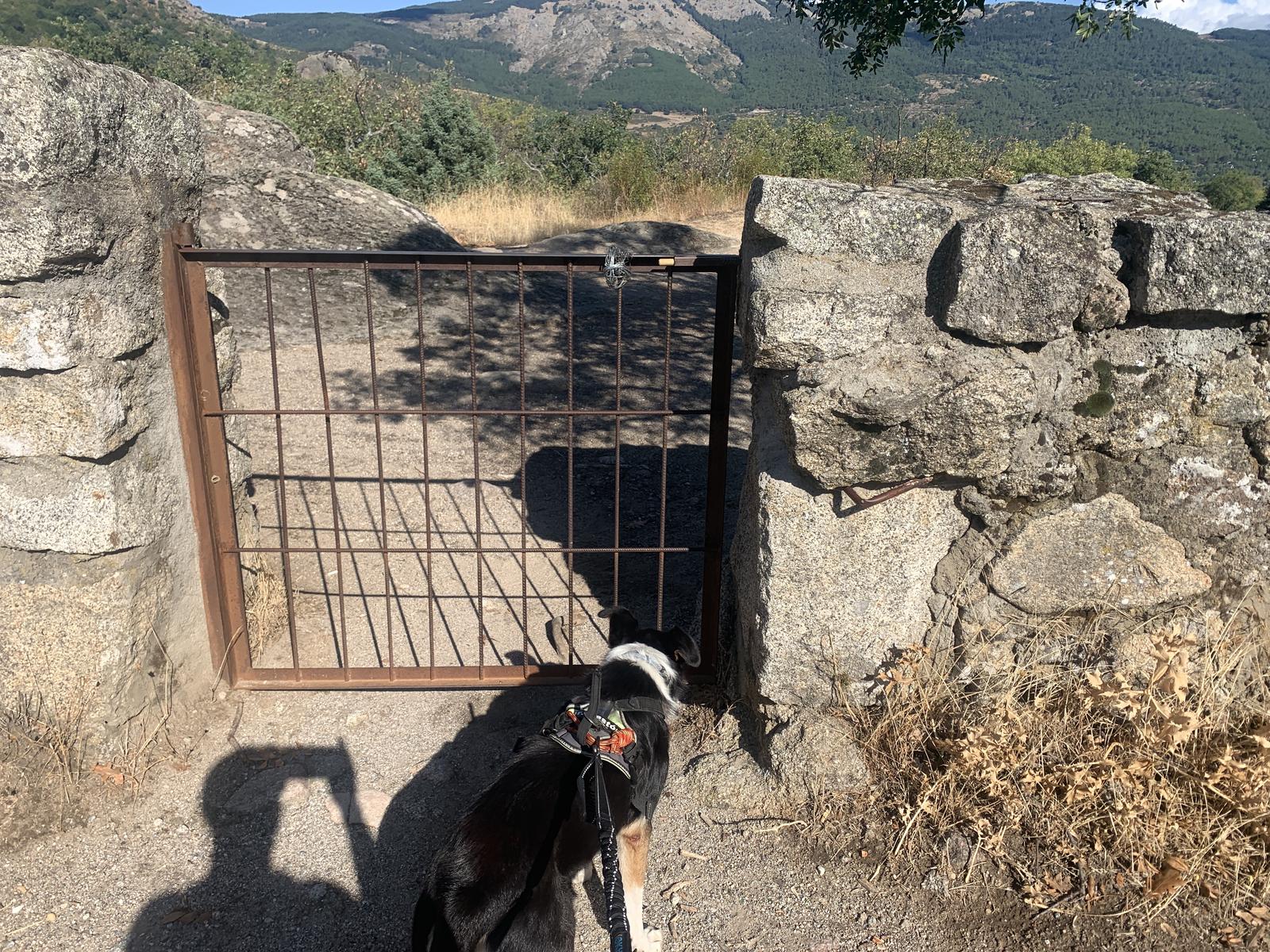 Foto de Rutas en Friendog