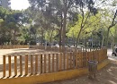 Foto de Pipican en Friendog