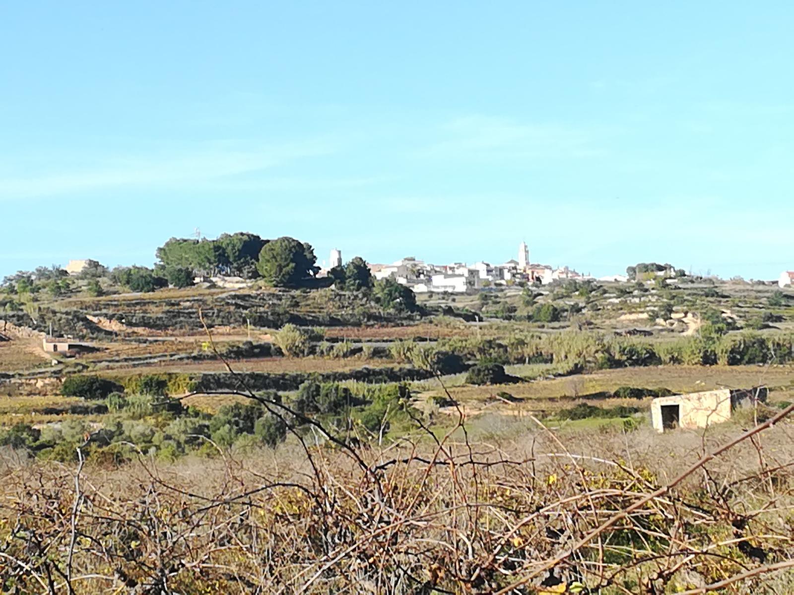 Foto de Rutas en Friendog