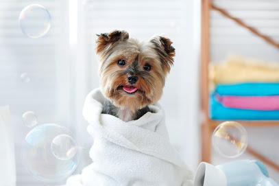 Foto de Guardería canina en Friendog