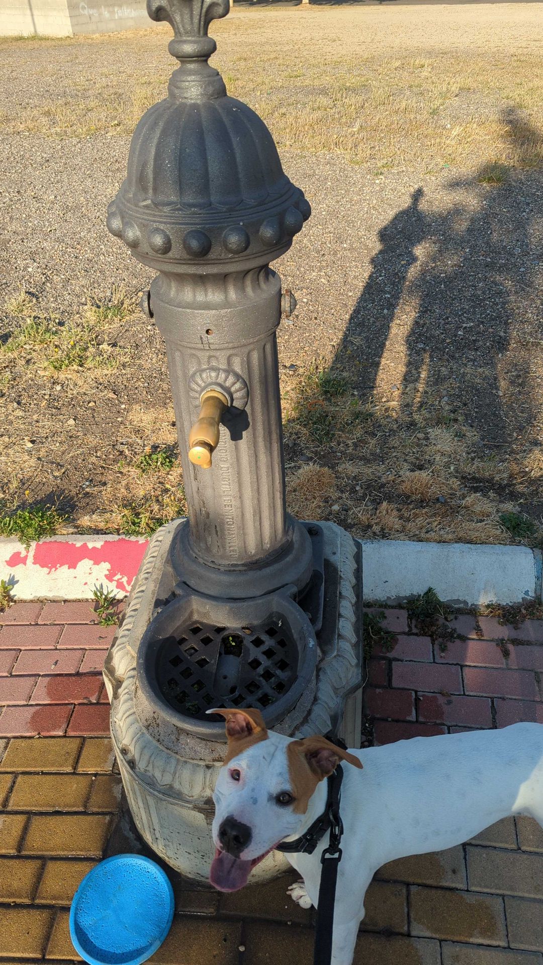 Foto de Fuente de agua en Friendog