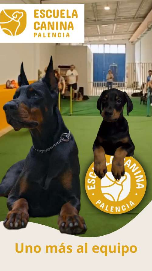Foto de Otros. en Friendog