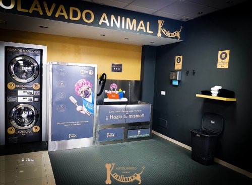 Foto de Autolavados de perros en Friendog