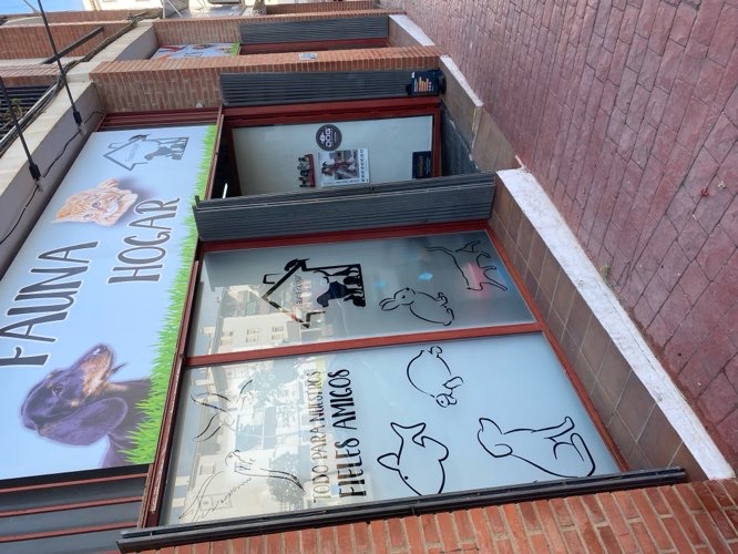 Foto de Tienda de perros en Friendog