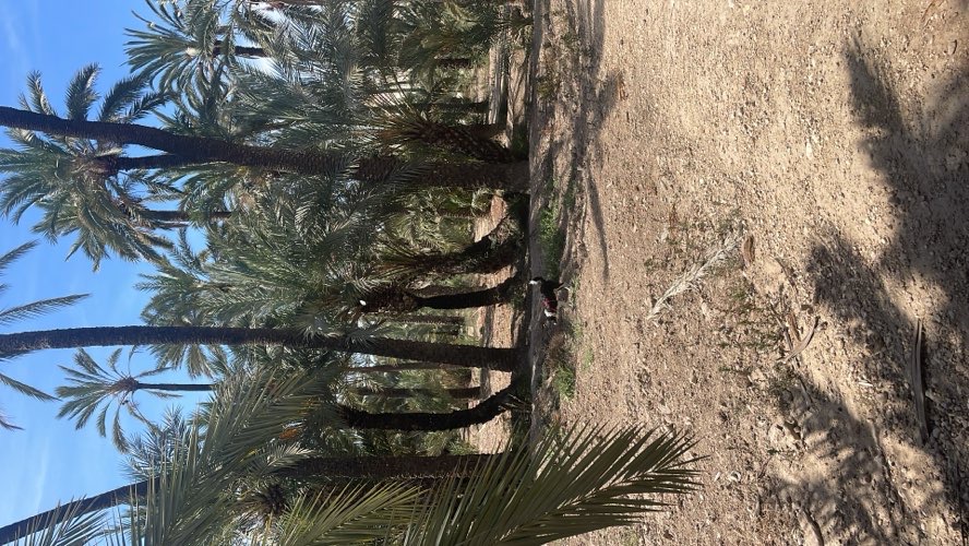 Foto de Parques en Friendog
