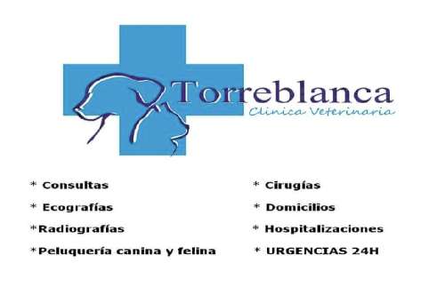 Foto de Veterinarios en Friendog
