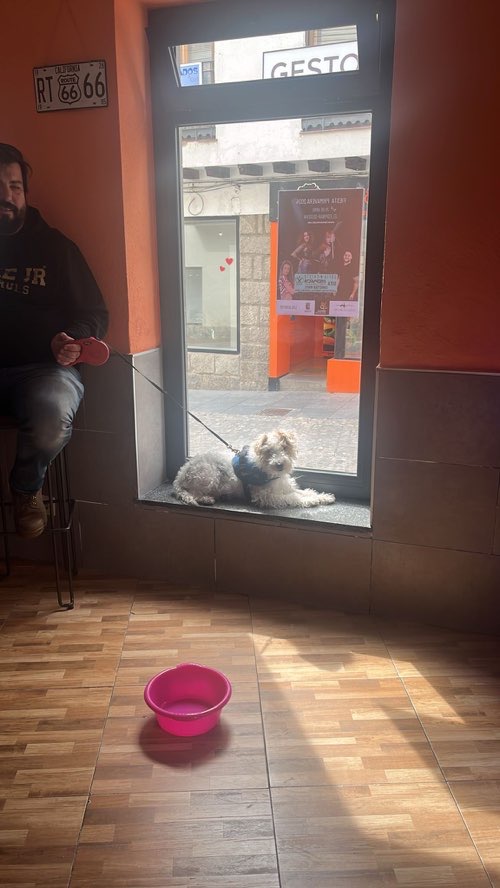 Foto de Cafetería en Friendog