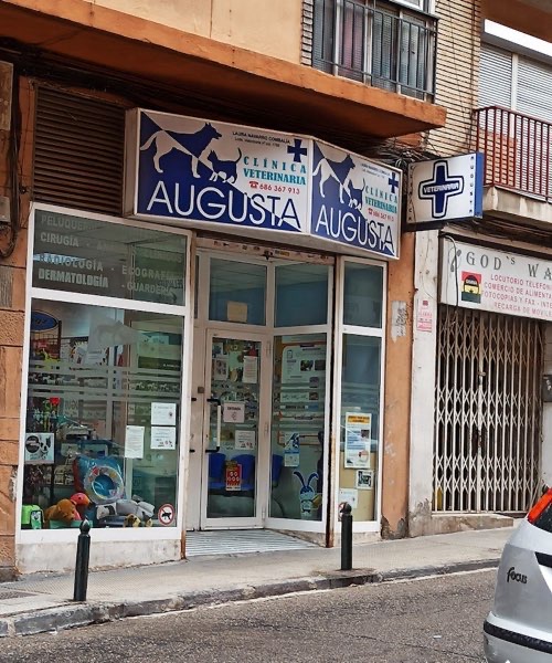 Foto de Veterinarios en Friendog