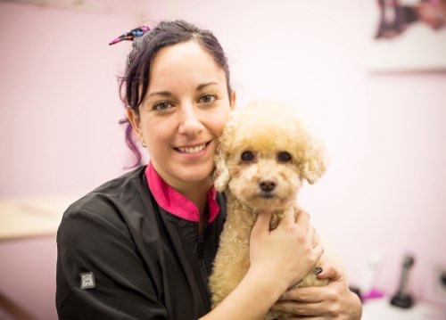 Foto de Peluquerías en Friendog