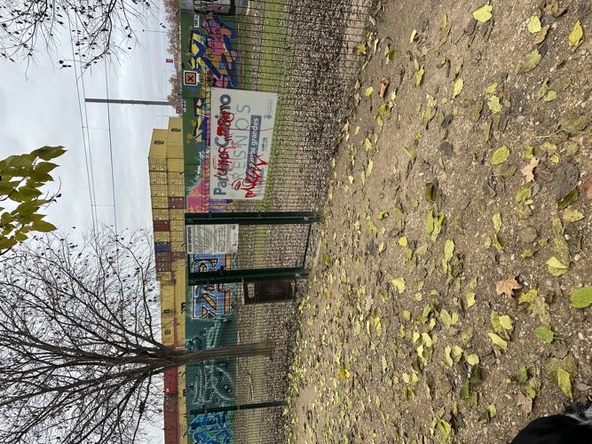 Foto de Pipican en Friendog