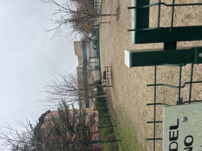 Foto de Pipican en Friendog