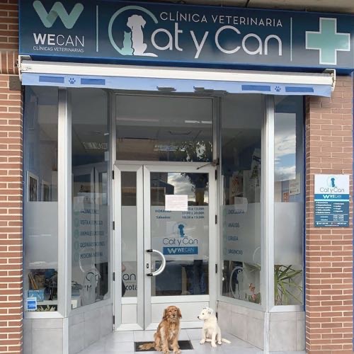 Foto de Veterinarios en Friendog