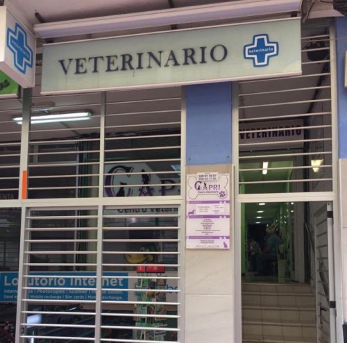 Foto de Rutas en Friendog