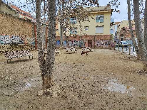 Foto de Pipican en Friendog