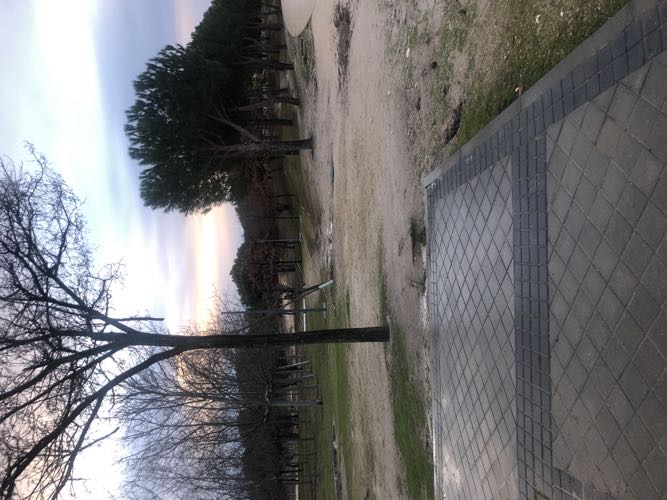 Foto de Parques en Friendog