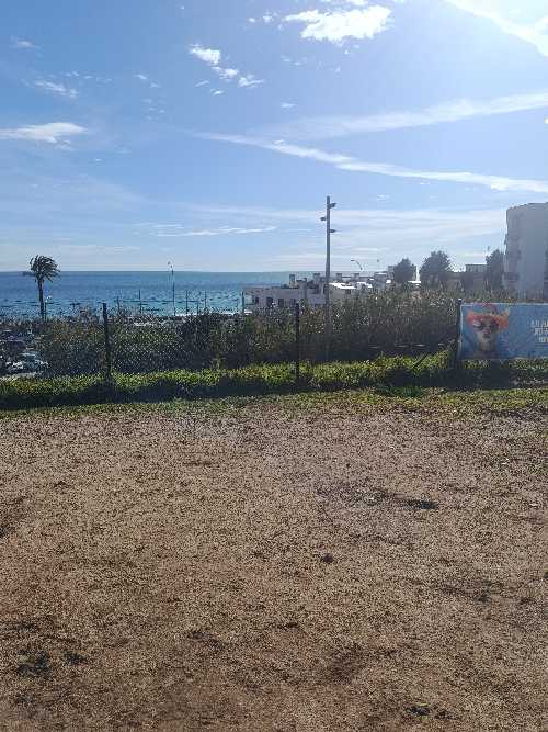 Foto de Pipican en Friendog