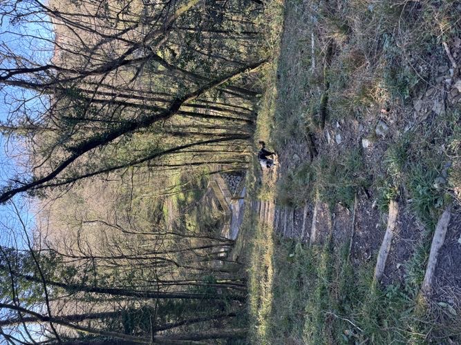 Foto de Parques en Friendog