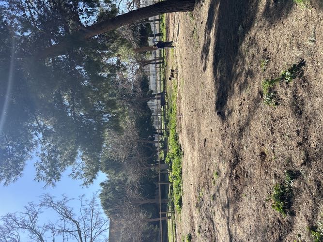 Foto de Pipican en Friendog