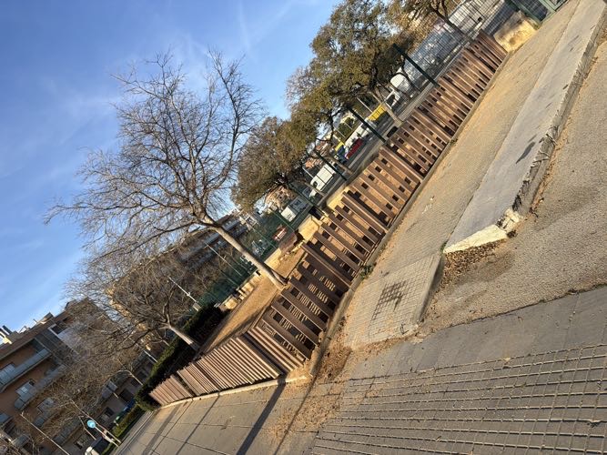 Foto de Pipican en Friendog