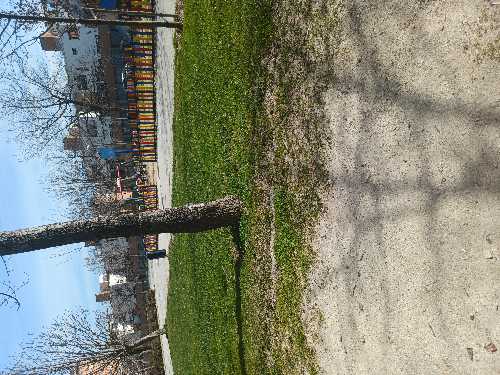 Foto de Parques en Friendog