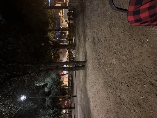 Foto de Pipican en Friendog