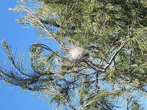 Foto de Otros. en Friendog