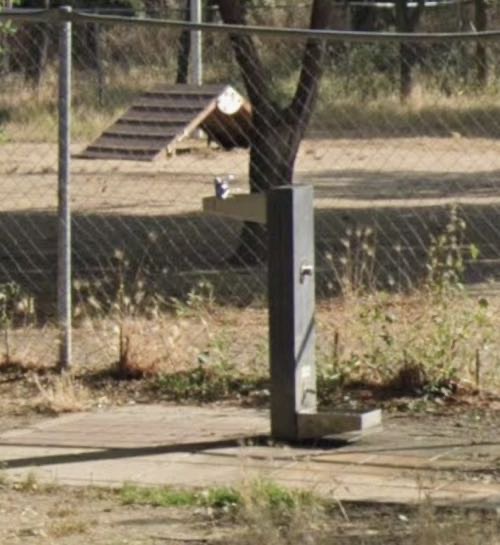 Foto de Fuente de agua en Friendog