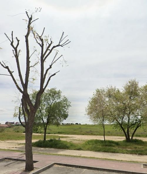 Foto de Parques en Friendog