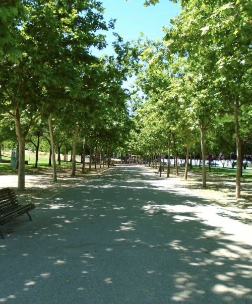 Foto de Parques en Friendog