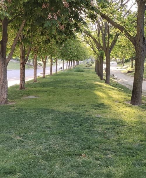 Foto de Parques en Friendog