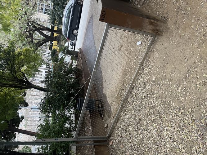 Foto de Pipican en Friendog