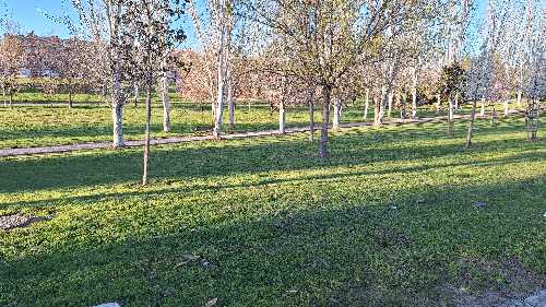 Foto de Parques en Friendog