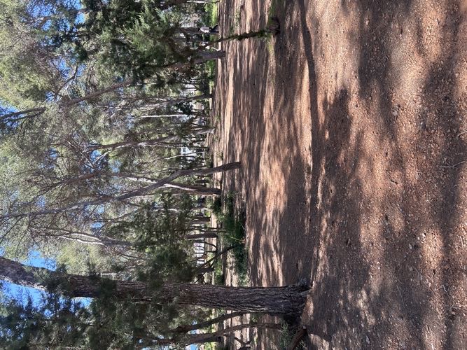 Foto de Parques en Friendog