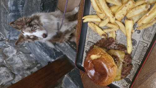 Foto de Restaurantes en Friendog