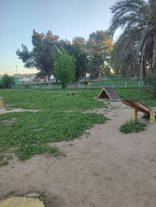 Foto de Pipican en Friendog