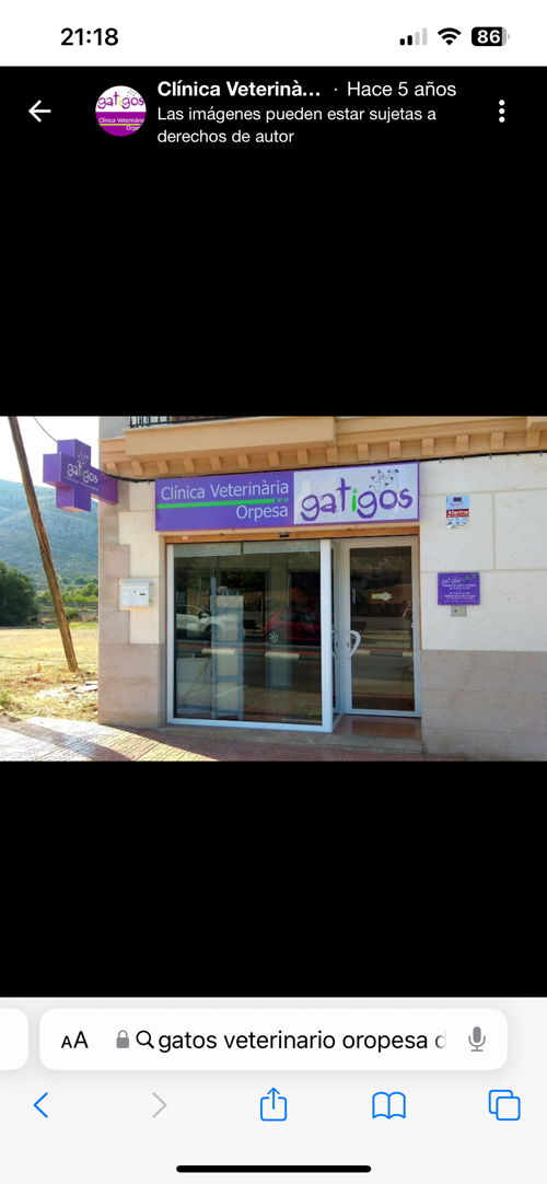 Foto de Veterinarios en Friendog