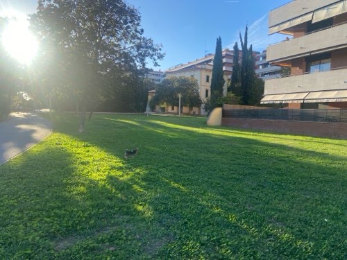 Foto de Parques en Friendog