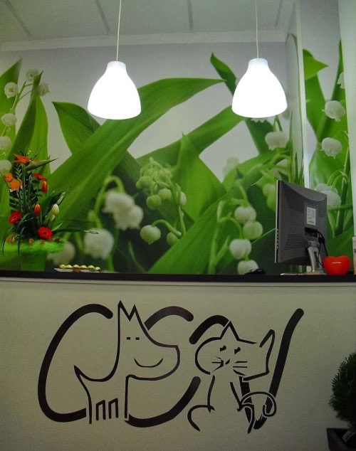 Foto de Veterinarios en Friendog